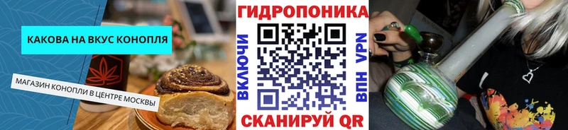 Canna-Cookies конопля Шенкурск