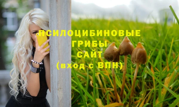 винт Абинск