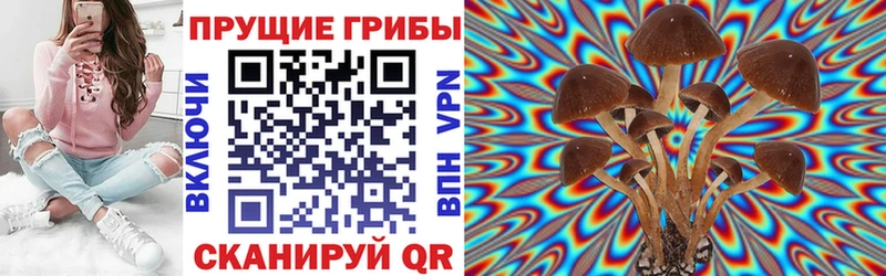 Галлюциногенные грибы MAGIC MUSHROOMS  Шенкурск 