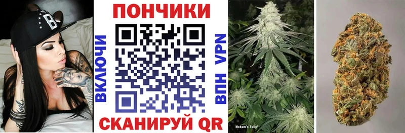 блэк спрут как войти Шенкурск Конопля гибрид